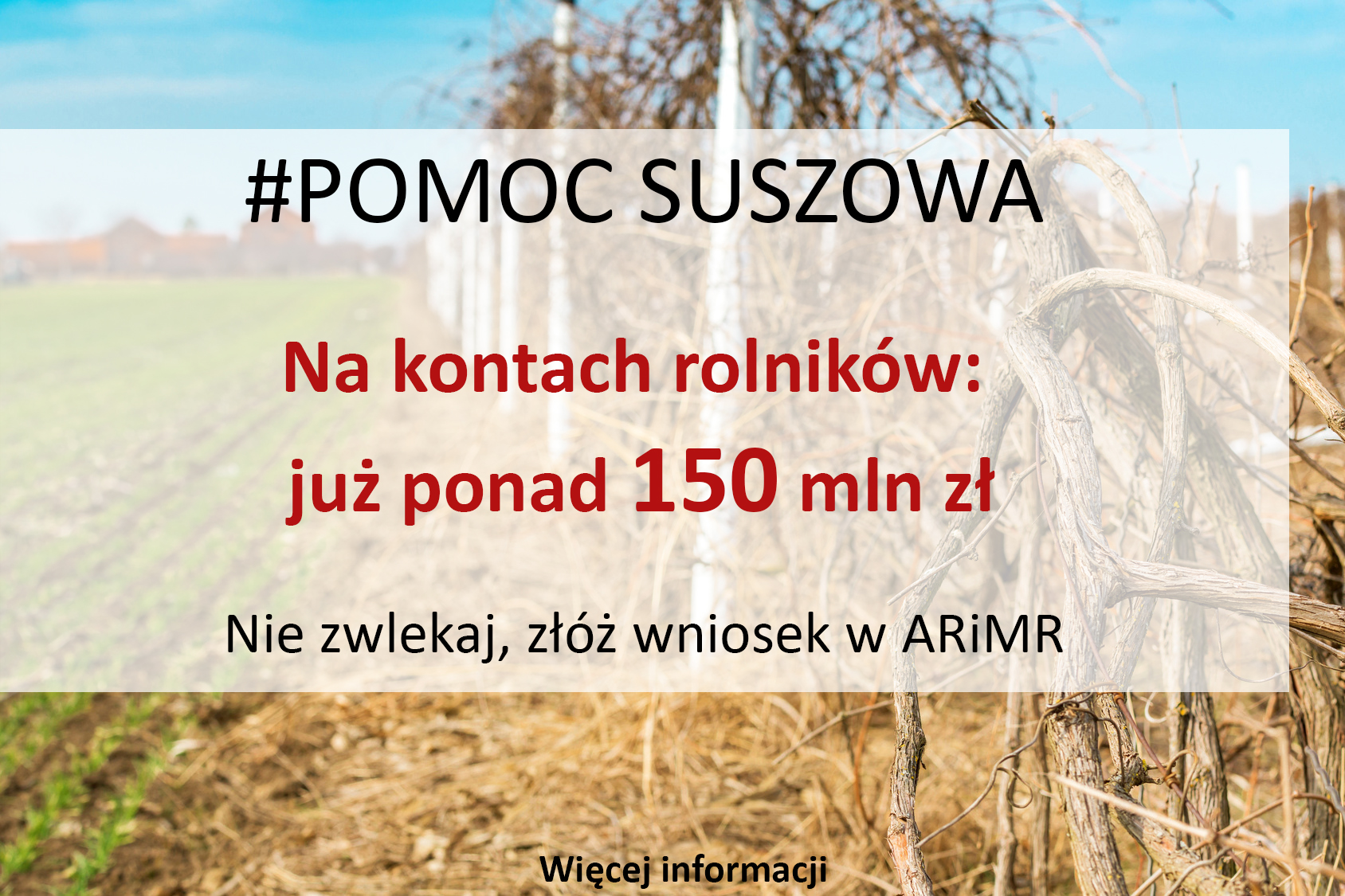 Pomoc suszowa: na kontach rolników już ponad 150 mln zł 